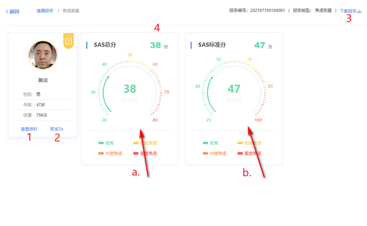 焦虑测量报告详情